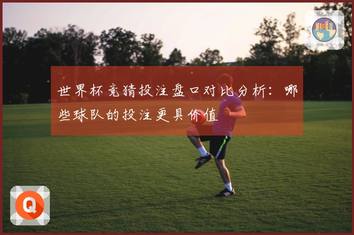 世界杯竞猜投注盘口对比分析：哪些球队的投注更具价值
