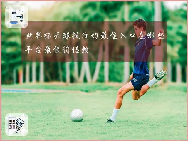 世界杯买球投注的最佳入口在哪些平台最值得信赖