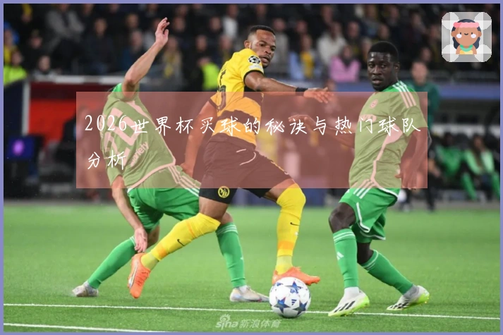 2026世界杯买球的秘诀与热门球队分析