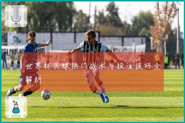 世界杯买球热门战术与投注技巧全解析