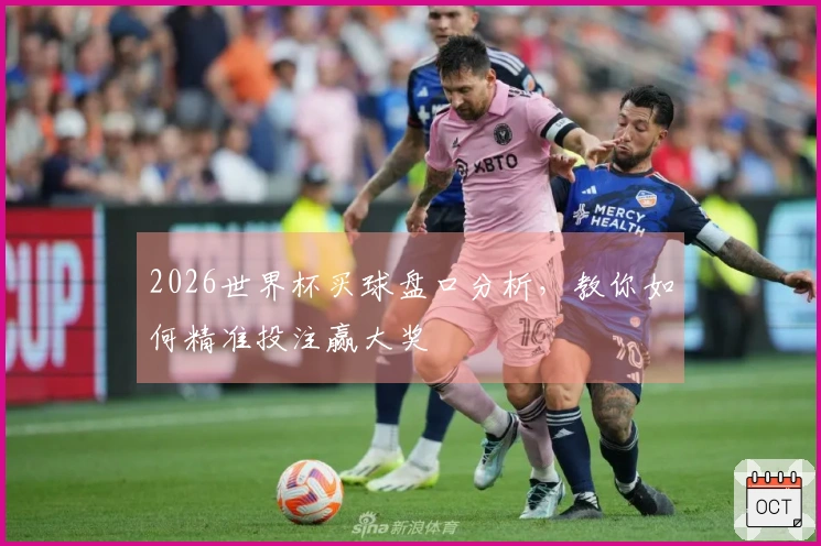 2026世界杯买球盘口分析，教你如何精准投注赢大奖