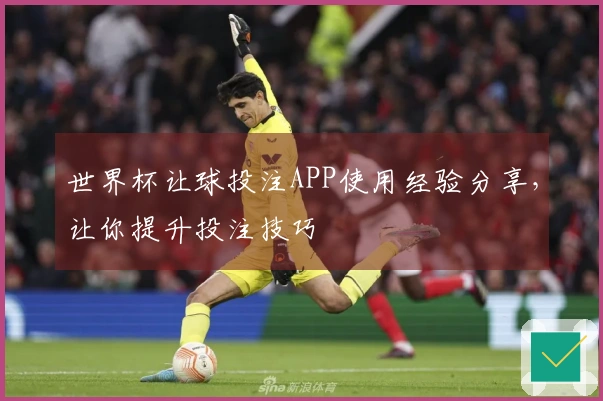 世界杯让球投注APP使用经验分享，让你提升投注技巧