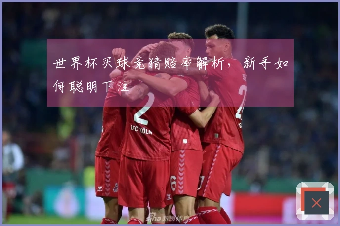 世界杯买球竞猜赔率解析，新手如何聪明下注