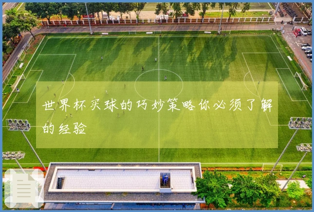 世界杯买球的巧妙策略你必须了解的经验