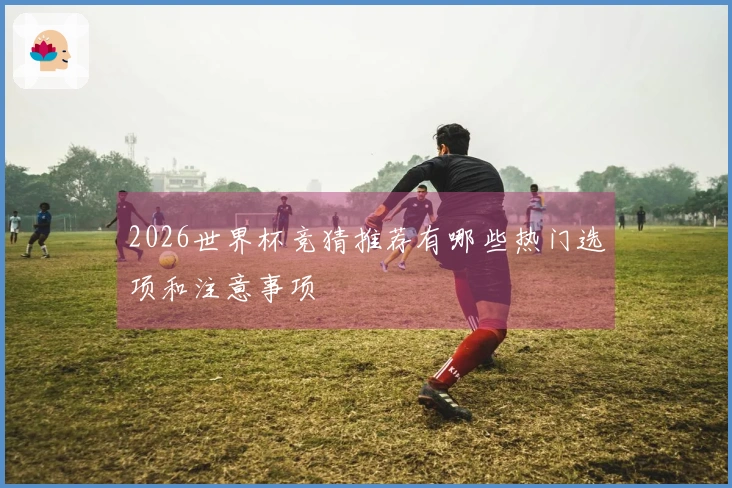 2026世界杯竞猜推荐有哪些热门选项和注意事项
