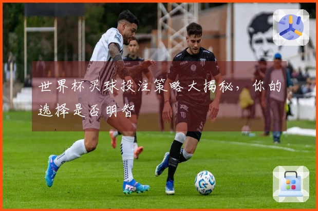 世界杯买球投注策略大揭秘，你的选择是否明智