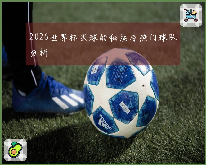 2026世界杯买球的秘诀与热门球队分析