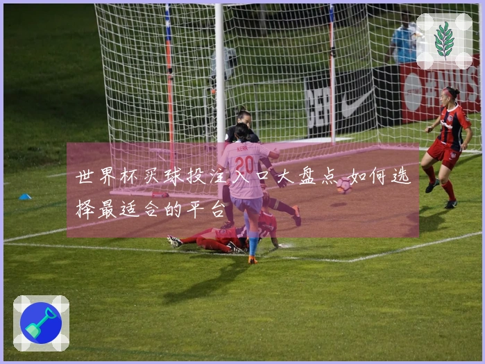 世界杯买球投注入口大盘点 如何选择最适合的平台