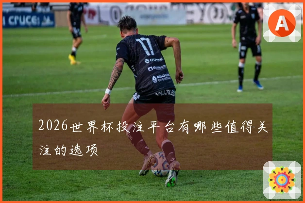 2026世界杯投注平台有哪些值得关注的选项