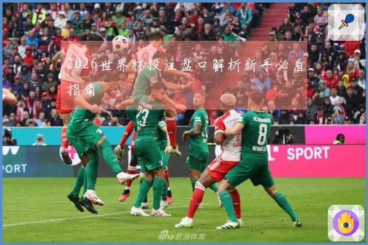2026世界杯投注盘口解析新手必看指南