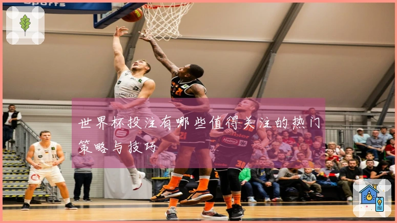 世界杯投注有哪些值得关注的热门策略与技巧