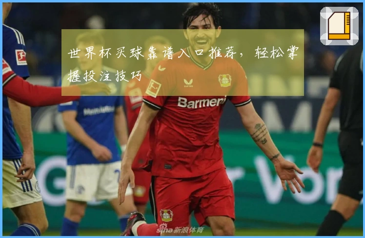 世界杯买球靠谱入口推荐，轻松掌握投注技巧