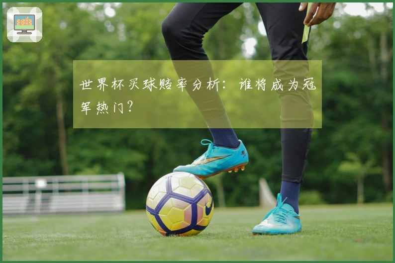 世界杯买球赔率分析：谁将成为冠军热门？