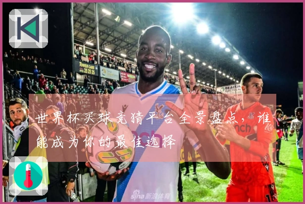 世界杯买球竞猜平台全景盘点，谁能成为你的最佳选择