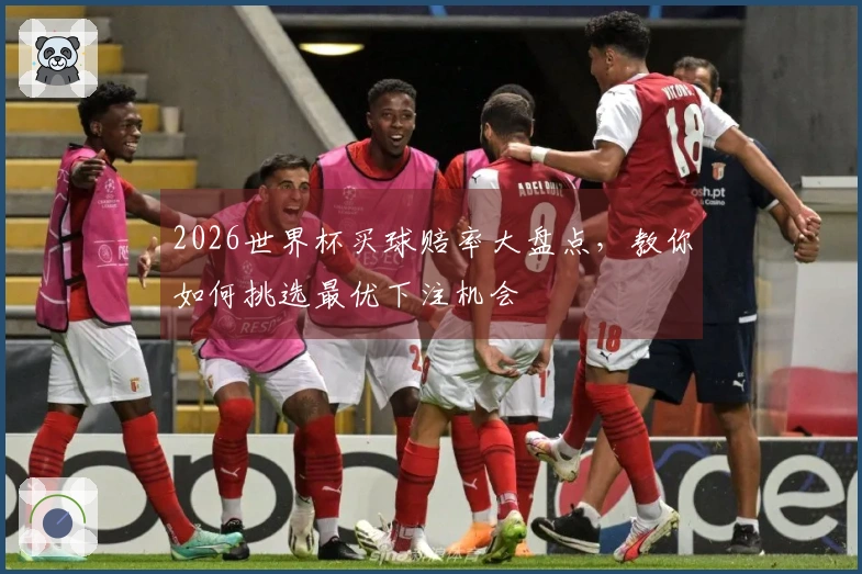 2026世界杯买球赔率大盘点，教你如何挑选最优下注机会