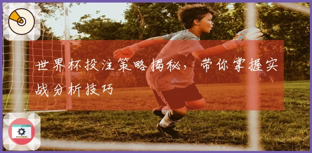 世界杯投注策略揭秘，带你掌握实战分析技巧